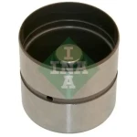 INA Supap Fincanı – 420022010 / OEM 094293