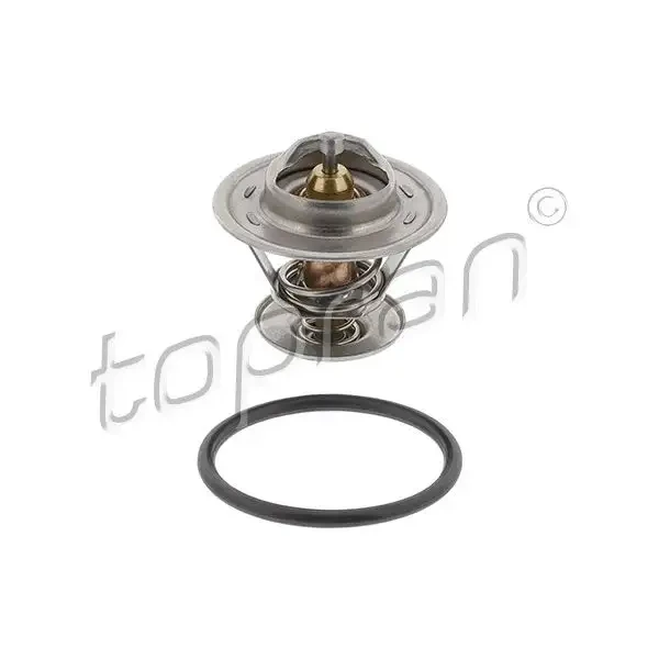 Topran Termostat – 100573001 / OEM 030121113B