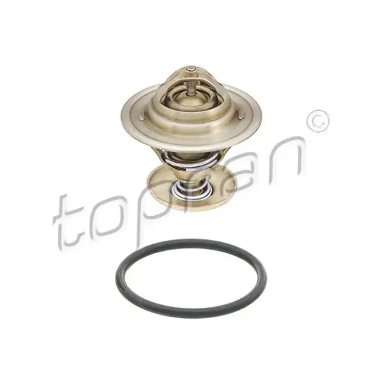 Topran Termostat – 101455002 ürün görseli