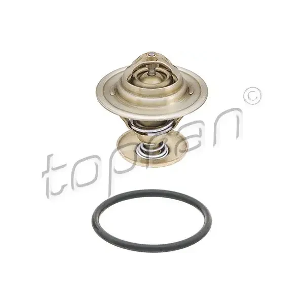 Topran Termostat – 101455002