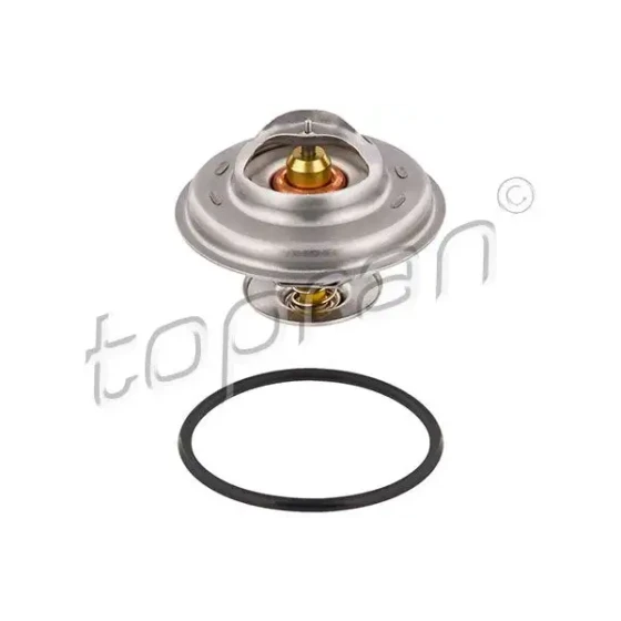 Topran Termostat – 101522001 ürün görseli