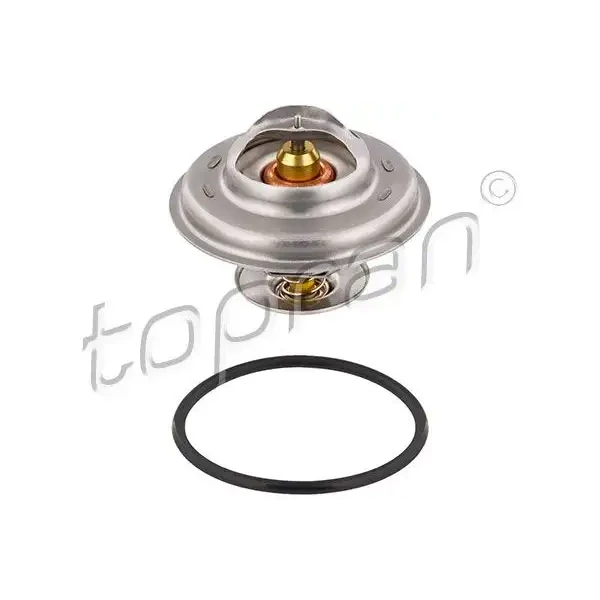 Topran Termostat – 101522001
