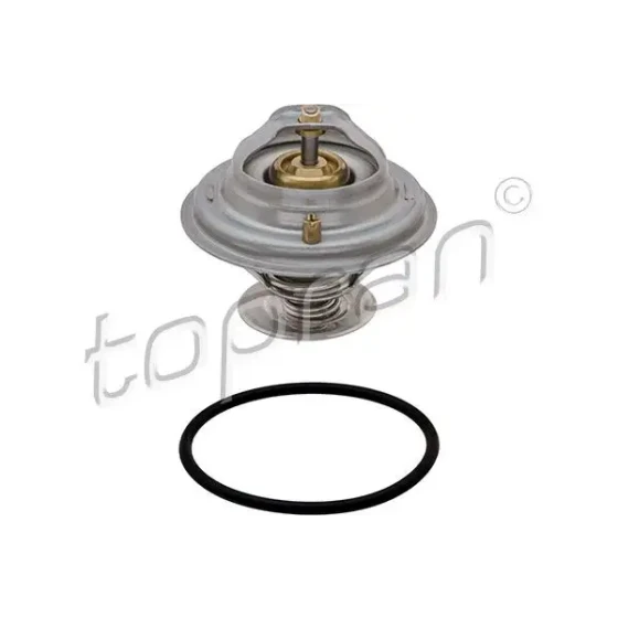 Topran Termostat – 101583001 ürün görseli