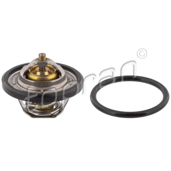 Topran Termostat – 300030001