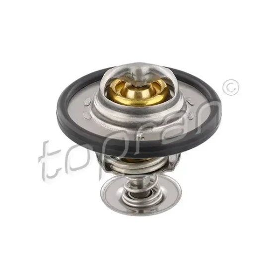 Topran Termostat – 305170001 / OEM 1812482 ürün görseli