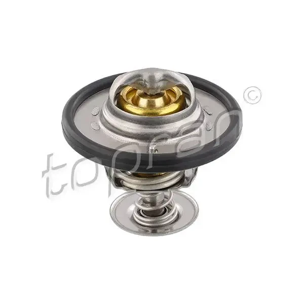 Topran Termostat – 305170001 / OEM 1812482