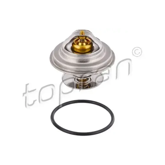 Topran Termostat – 400774001 ürün görseli