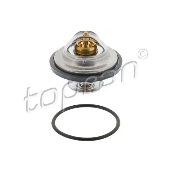 Topran Termostat – 500542001 / OEM 11531713040 ürün görseli