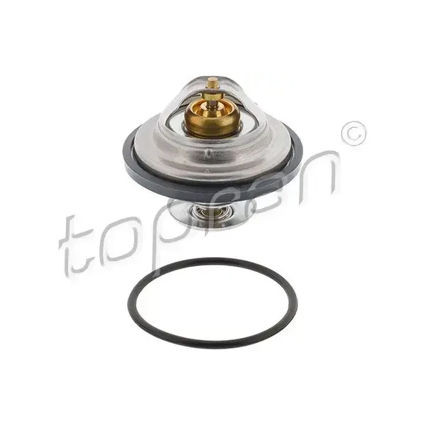 Topran Termostat – 500542001 / OEM 11531713040