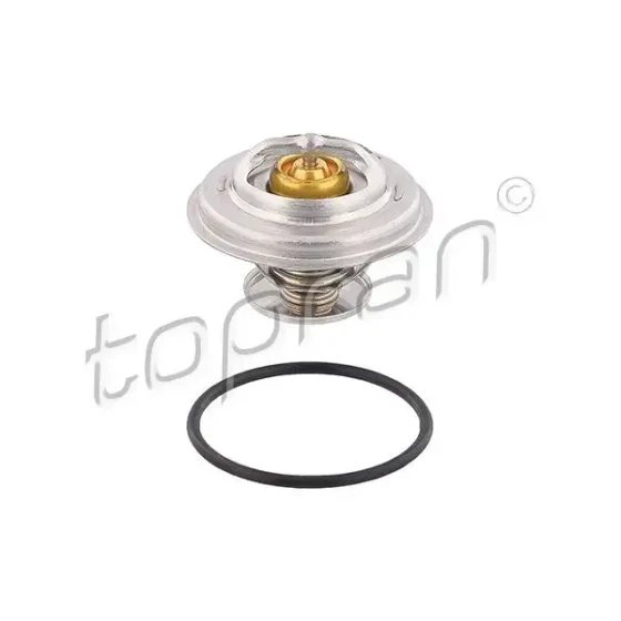 Topran Termostat – 500546001 ürün görseli