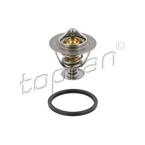 Topran Termostat – 630301001 ürün görseli