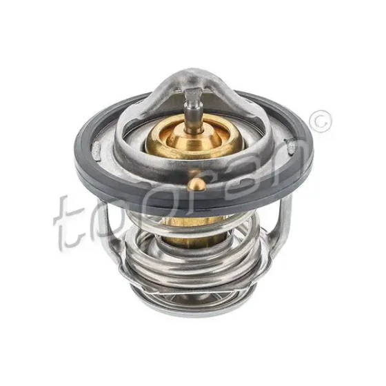 Topran Termostat – 820303001 / OEM 2550002500 ürün görseli