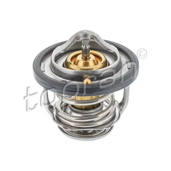 Topran Termostat – 820303001 / OEM 2550002500