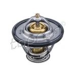 Topran Termostat – 820304001 / OEM 2550023010