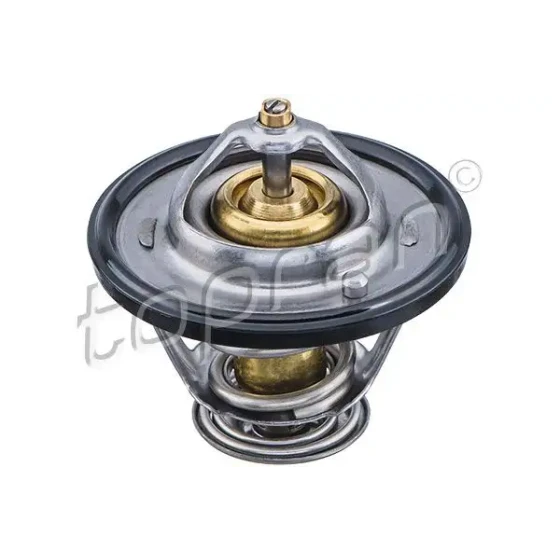 Topran Termostat – 820304001 / OEM 2550023010 ürün görseli