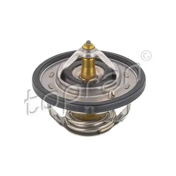 Topran Termostat – 820596001 / OEM 255002B001 ürün görseli