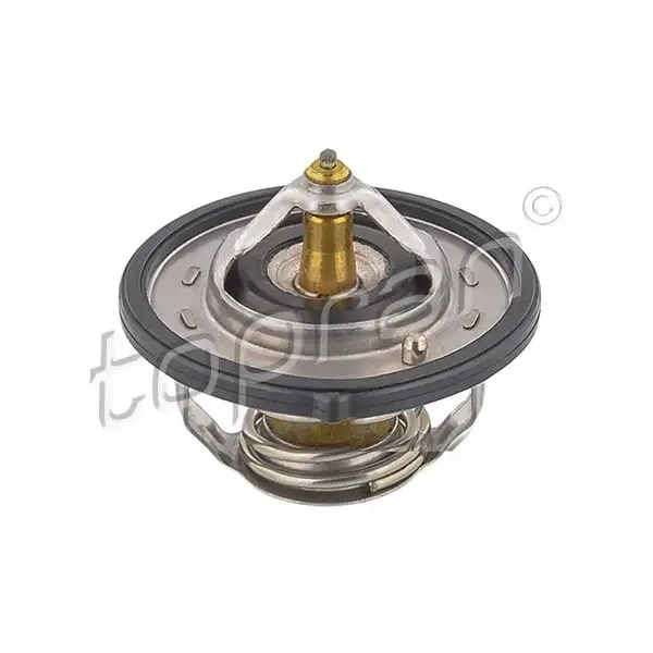 Topran Termostat – 820596001 / OEM 255002B001
