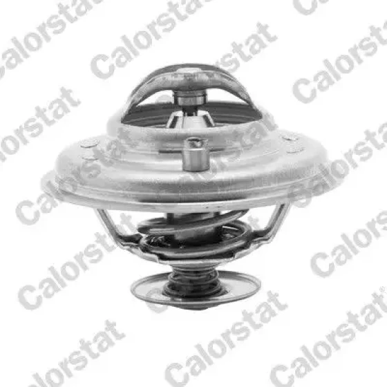 Calorstat Vernet Termostat – TH5973.80J ürün görseli