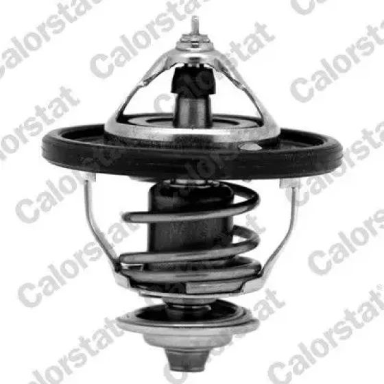 Calorstat Vernet Termostat – TH7354.88J / OEM 255002E000 ürün görseli