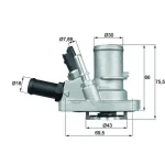 Mahle Termostat – TI14488