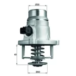 Mahle Termostat – TM27101