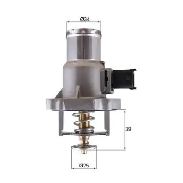 Mahle Termostat – TM55105