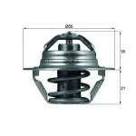 Mahle Termostat – TX10089D