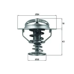 Mahle Termostat – TX11482D