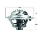 Mahle Termostat – TX16685D / OEM 255002A050