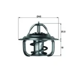 Mahle Termostat – TX192D