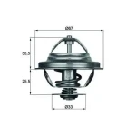 Mahle Termostat – TX2780D