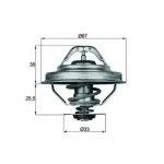 Mahle Termostat – TX2892D