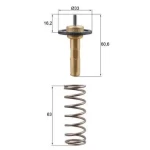 Mahle Termostat – TX31190D / OEM 31293556