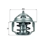 Mahle Termostat – TX6482