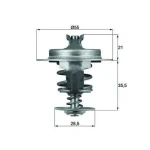 Mahle Termostat – TX6783D