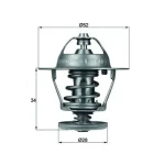 Mahle Termostat – TX6888D