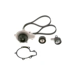 Bosch Triger Seti Ve Devirdaim – 1987946908
