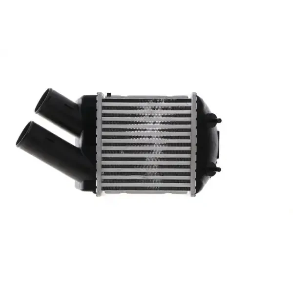Mahle Turbo Radyatörü – CI344001S
