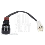 Blueprint Vuruntu Sensörü – ADS77209 / OEM 22060AA070