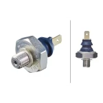 Hella Yağ Müşürü – 6ZL003259-641