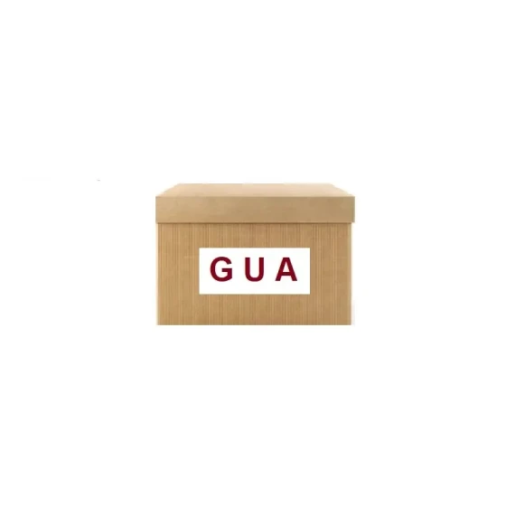 GUA Yakıt Pompası – 40467 / OEM 3111007000 ürün görseli