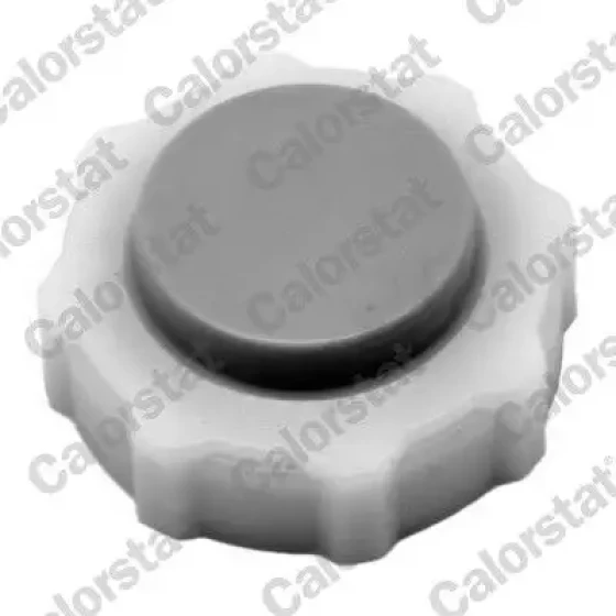 Calorstat Vernet Yedek Su Depo Kapağı – RC0018 / OEM 7700808837 ürün görseli